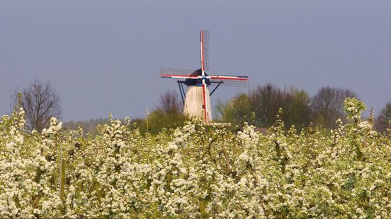Zo ruikt Gelderland volgens de Gelderlanders zelf