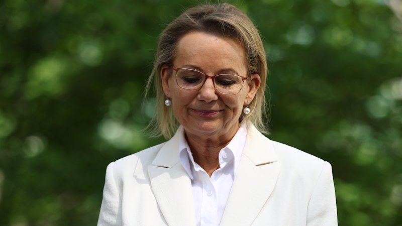 ‘I hope I have paved the way’: Dumped Liberal leader Sussan Ley resigns, triggering critical byelection