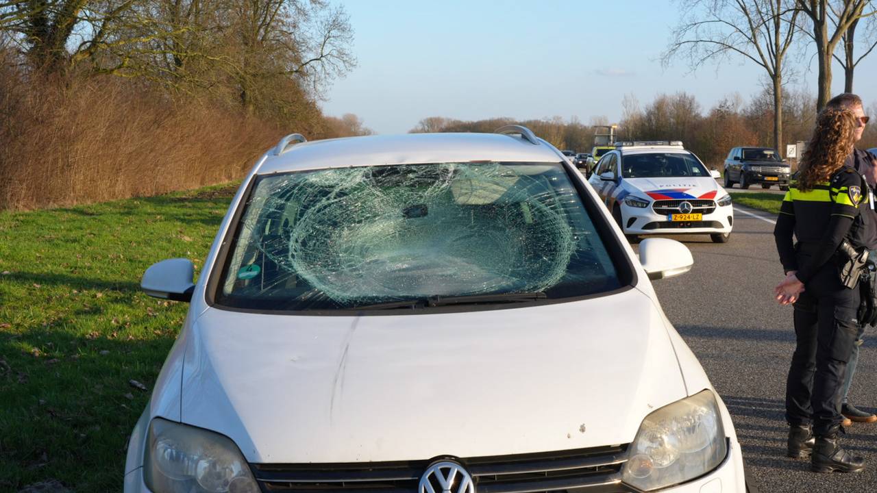 Fietser klapt op voorruit van auto op afrit van N267 in Oudheusden