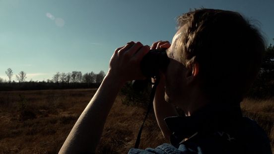 Dit is hét moment om kraanvogels te spotten