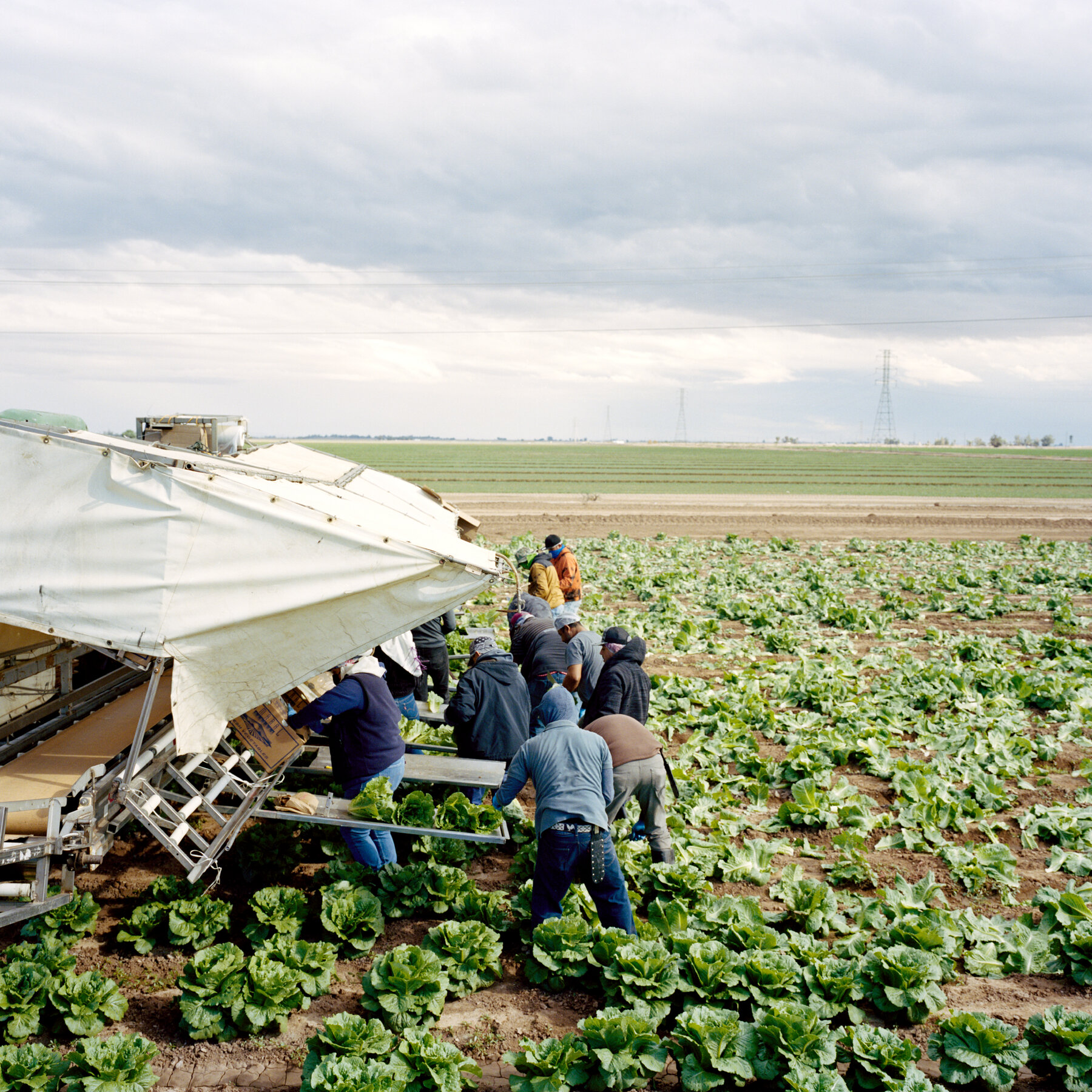 Cyclospora Cases in the U.S. Hit Record High