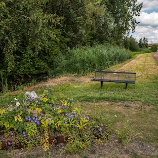 One year ago, Lisa (17) was murdered: what came of promises to boost safety after her death?