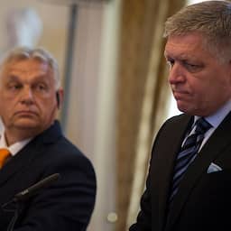 EU-sancties tegen pro-Russische personen verlengd, Hongarije staakt verzet