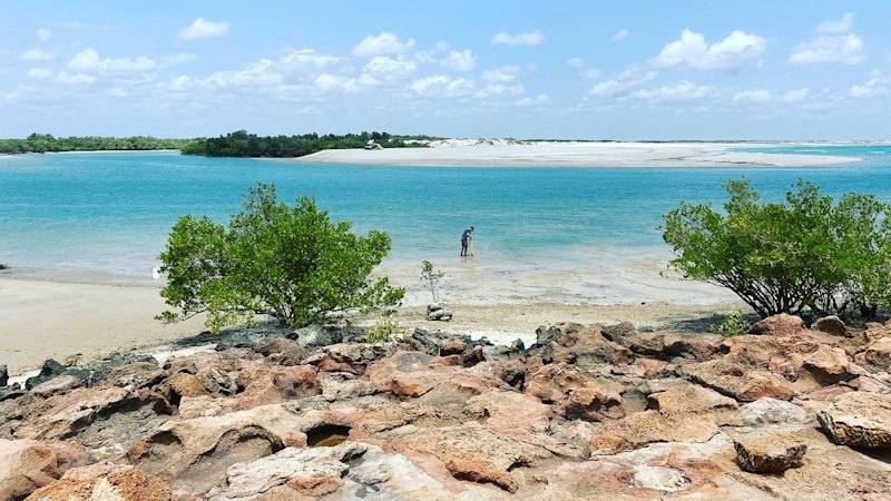 Light plane crashes into the mangroves near Broome