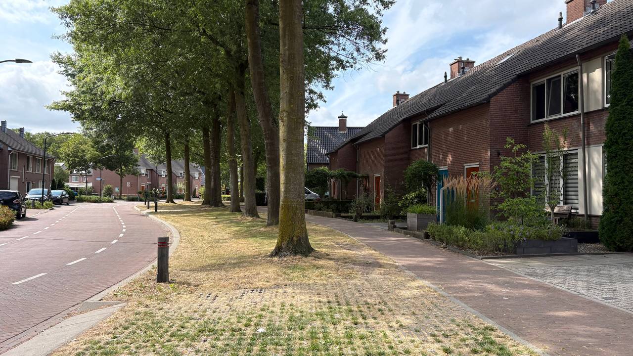Vuurwerk in tuin gegooid tijdens politieonderzoek: 'Het leek een echte bom'