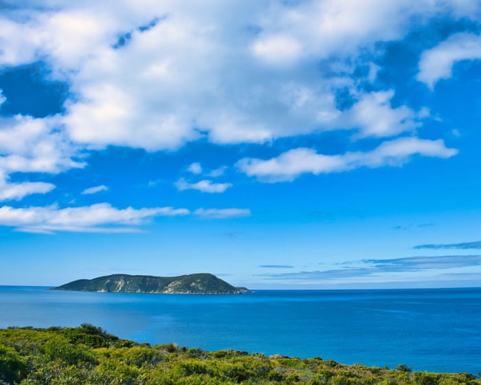 Man dies after being bitten by shark off Western Australian coast