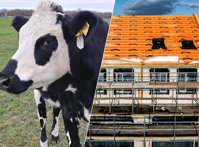 Van brandende hooibalen tot stilgevallen nieuwbouw: waarom het stikstofdossier zo explosief is