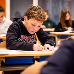 Nieuwe doelen in het onderwijs: zelfs wiskundedocent moet nadenken over taal