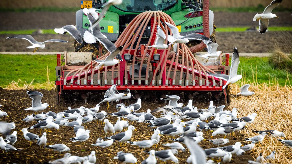 Stikstofplan: bufferzone bij 100 natuurgebieden en extra maatregelen rond Veluwe