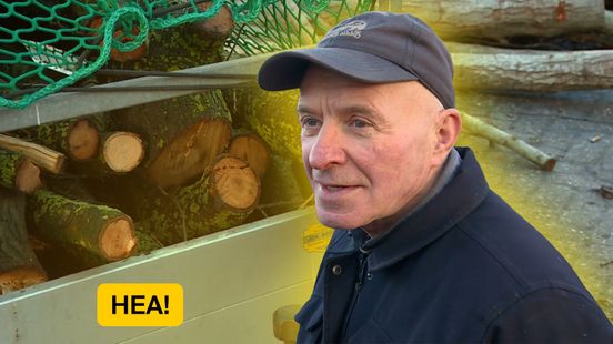 Wietse kapt hout voor de winter