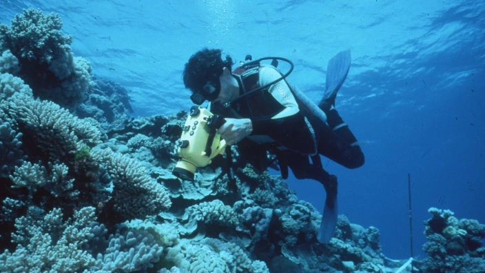 Australische Great Barrier Reef toch niet op Unesco-lijst bedreigd werelderfgoed