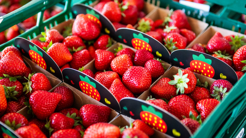 Niet biologisch en toch onbespoten. Waarom is er geen label voor deze ‘schone’ aardbeien?