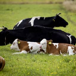 Weer stakingen bij FrieslandCampina voor hoger salaris