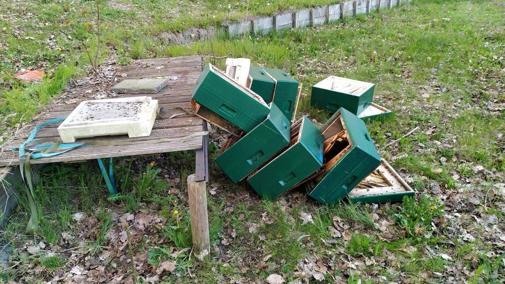Onbekenden vernielen bijenkasten van imker uit Joure voor zesde keer