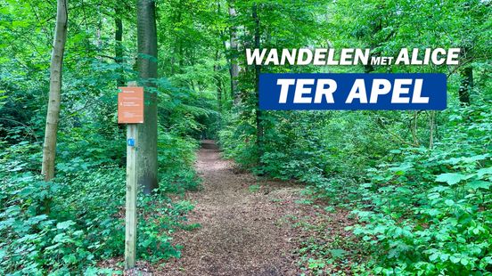 Wandelen met Alice: Ter Apel
