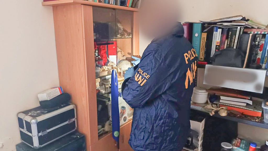 Schedels, onderbeen en hart in potje gevonden bij Hongaarse grafrover