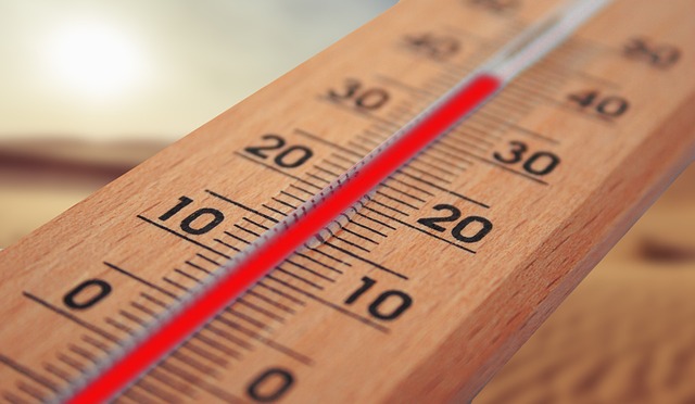 El Niño to bring more heat and disasters in coming months, UN warns