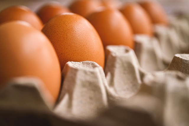 US: FDA recalls 19 million eggs over salmonella risk