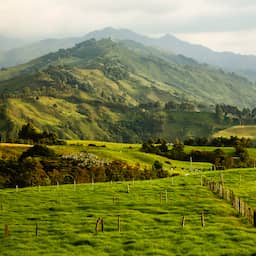 Gevonden Nederlandse vrouw (41) in Colombia door misdrijf om leven gekomen