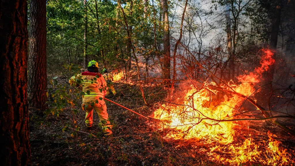 Brandweer 'nog zes tot acht uur' bezig met blussen natuurbrand in Noord-Limburg
