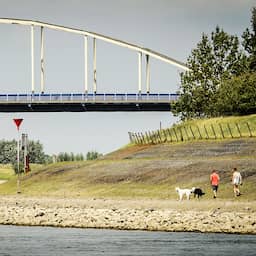 Omstanders redden hond die wordt meegesleurd in de IJssel bij Doesburg