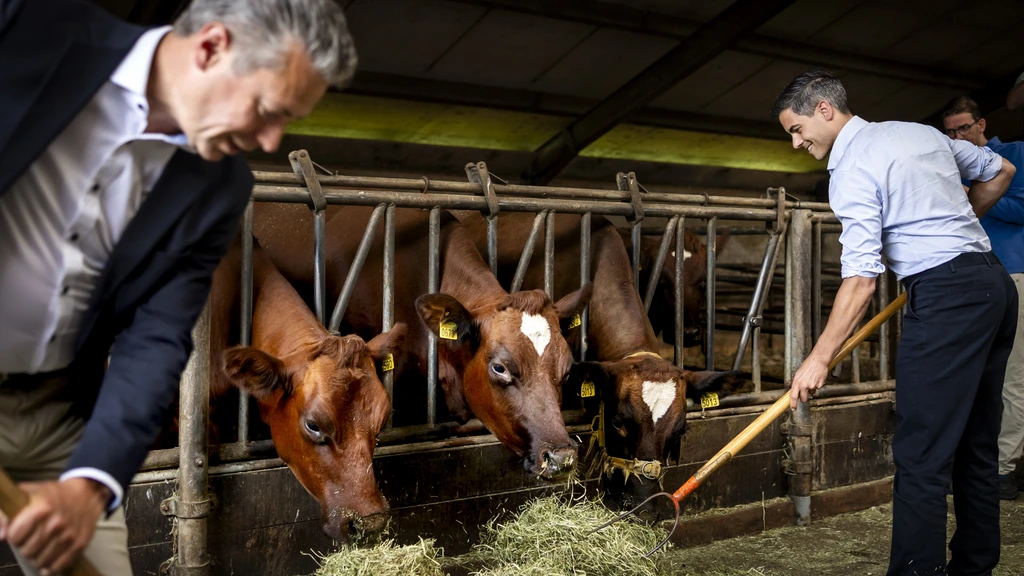 Dit vinden boeren, milieuclubs en de bouwsector van de nieuwe stikstofplannen