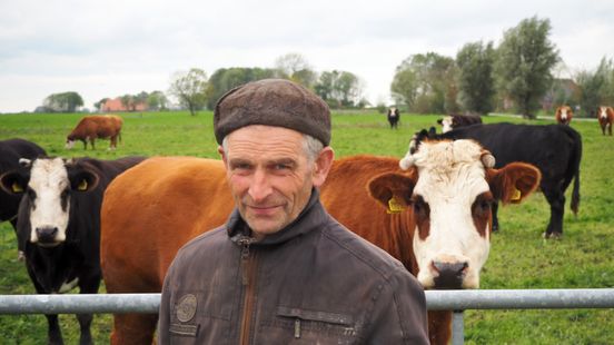 Het Groninger Landschap erft boerderij, grond en kudde koeien en schapen