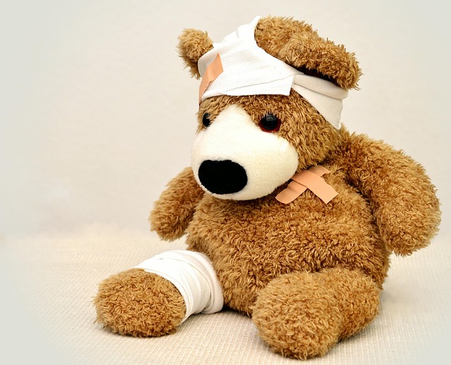Japan: Bear rampage injures 4 in Fukushima