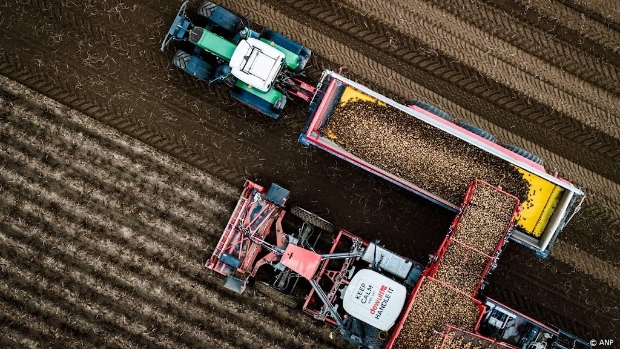 Geen doorstart voor failliet aardappelmerk CêlaVíta