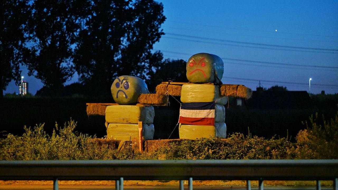 Reuzenhooipoppen duiken op langs A65, boerenprotest is niet te missen