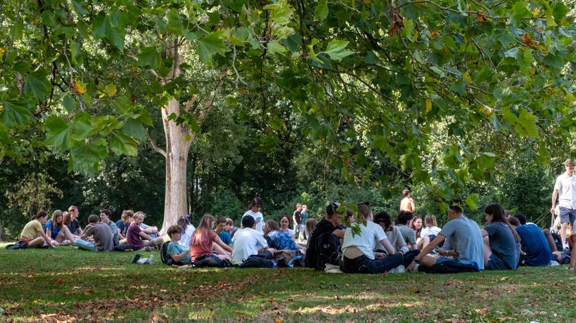 Deze docent ziet hoe ChatGPT het hart uit studententeksten haalt. ‘Ik mis worstelingen en verwondering’