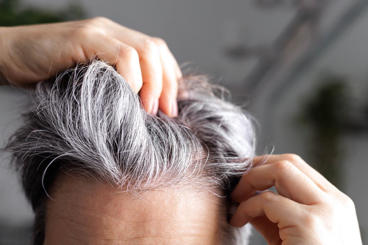 Kun je in één nacht grijs worden?