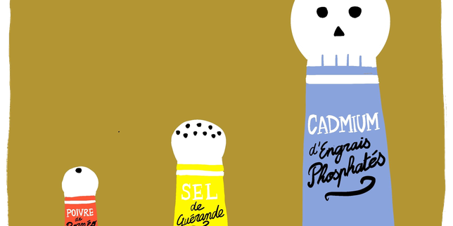 Key facts to understand cadmium, an emerging public health issue