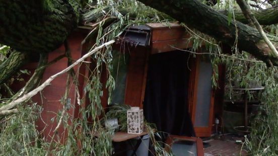 Boom valt door storm op blokhut in Stadskanaal, zoon ontsnapt op het nippertje