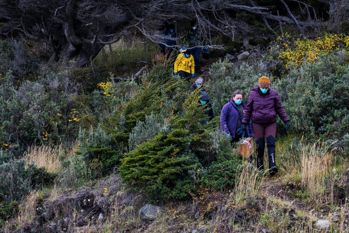 Scientists retrace steps of Dutch tourists as Argentina expands hantavirus probe