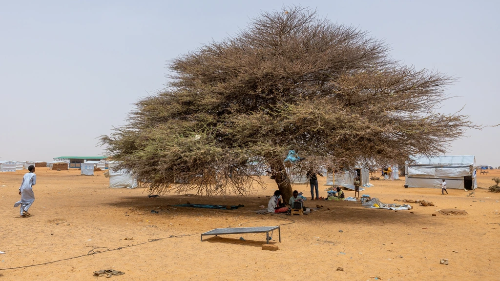 42 doden na familieruzie om waterbron in Tsjaad