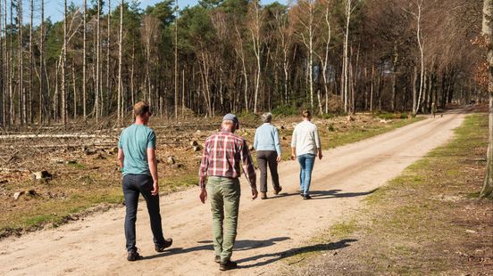 Zo hoopt Gelderland de natuur te herstellen en de bouw op gang te brengen