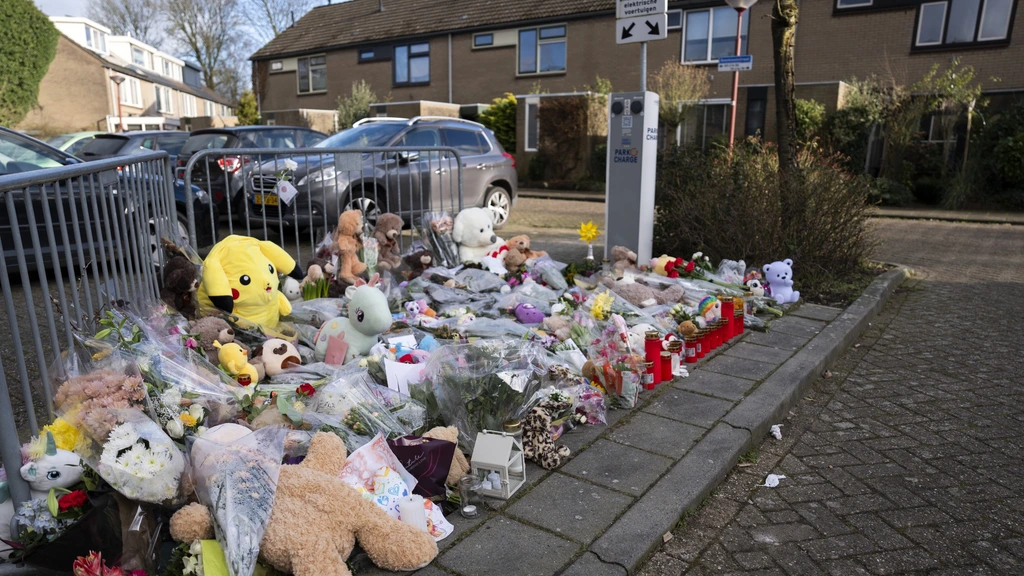 Zorg dader dodelijk steekincident Nieuwegein schoot tekort