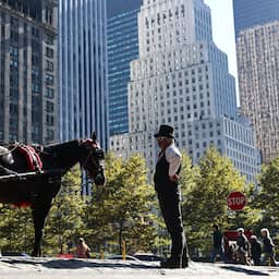 Toerist (18) komt om het leven door op hol geslagen paard in Central Park