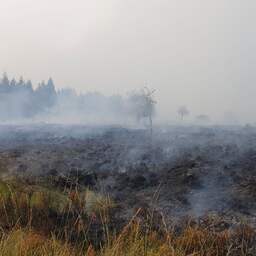 Verbrand gebied België zeer snel verdubbeld: 'Ergste brand in onze geschiedenis'