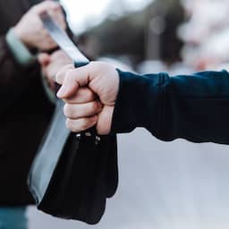 Celstraf voor dief die 'per ongeluk' tas met miljoeneninhoud stal in Londen