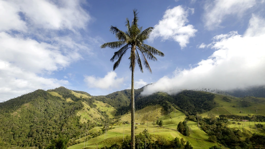 Vermiste Nederlandse vrouw (41) dood gevonden in meer in Colombia