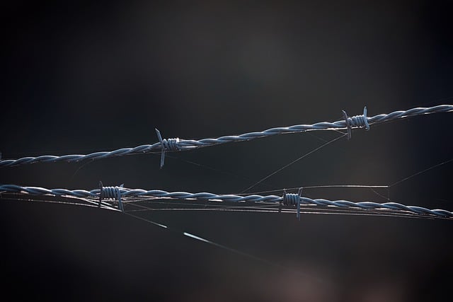 DHS shutdown set to stretch on with Congress on 2-week break