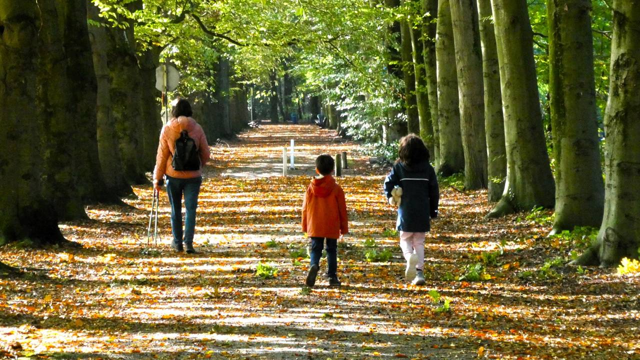 Eindelijk beter weer in zicht: 'Temperatuur gaat richting 19 graden'