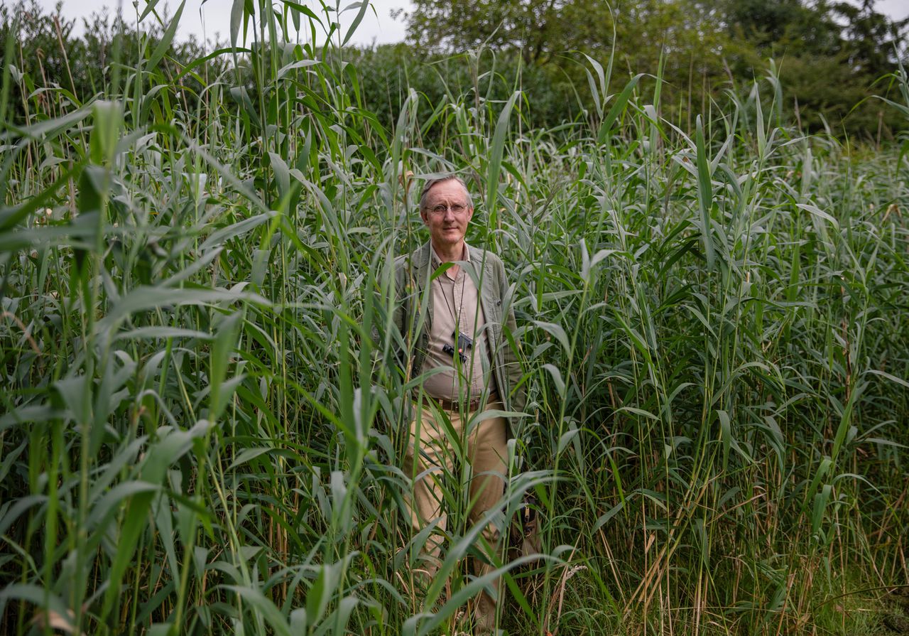 Satirische wetenschapsprijzen (de 'alternatieve Nobelprijzen') zeggen dat VS 'te onveilig' zijn geworden, en verhuizen daarom naar Europa