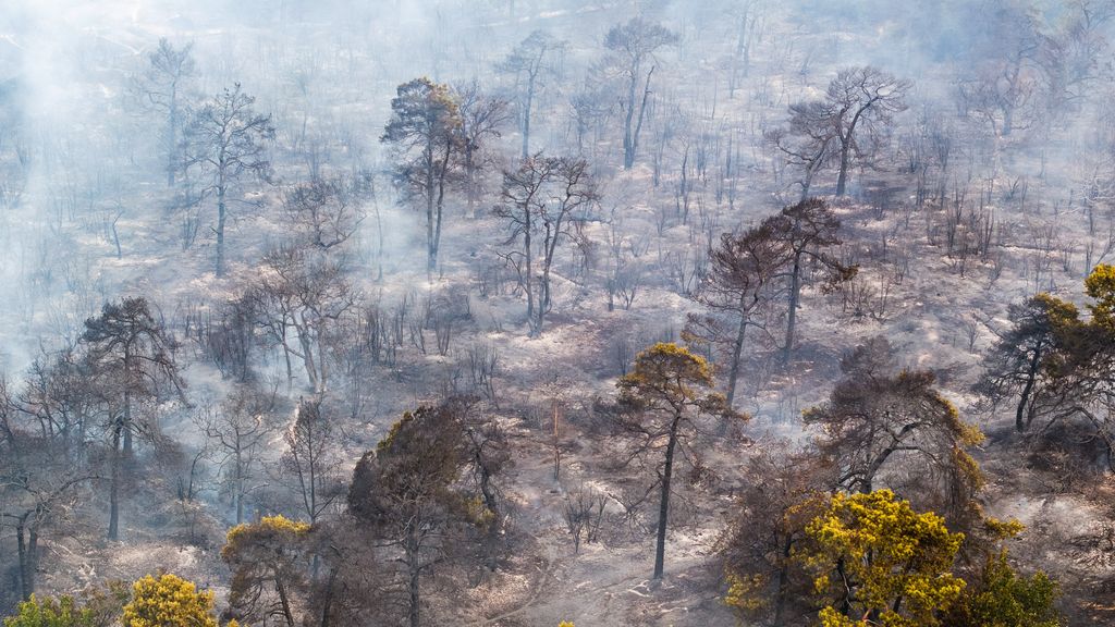 Natuurbrand Limburg nog niet onder controle: één vierkante kilometer getroffen
