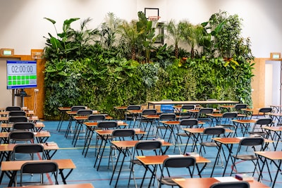 Wand vol planten moet stress verminderen tijdens eindexamen: 'Het was heel fijn om naar te kijken'