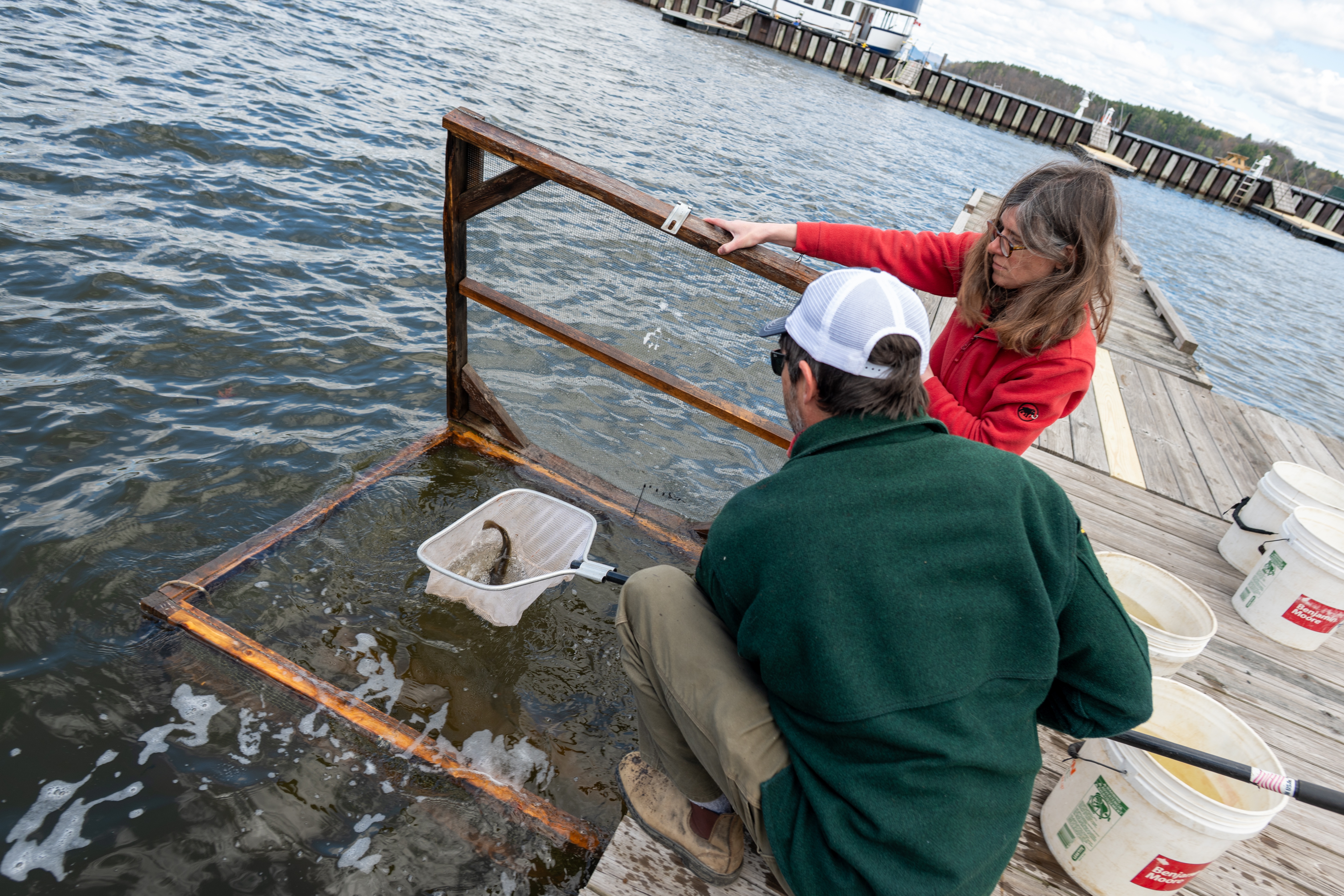 A strange transmissible cancer is spreading through the catfish in this lake