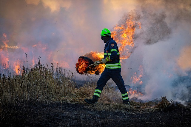 Greek firefighters battle deadly wildfires on Crete for a second day