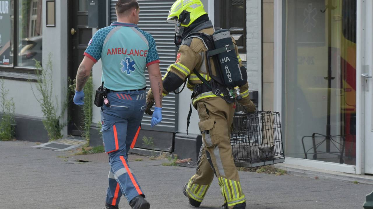 Brand in appartement in Breda, bewoonster en brandweer redden katten